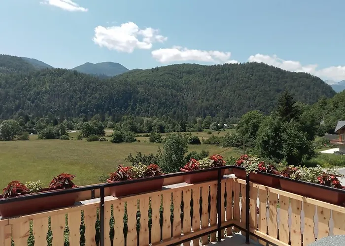 Apartment With A View